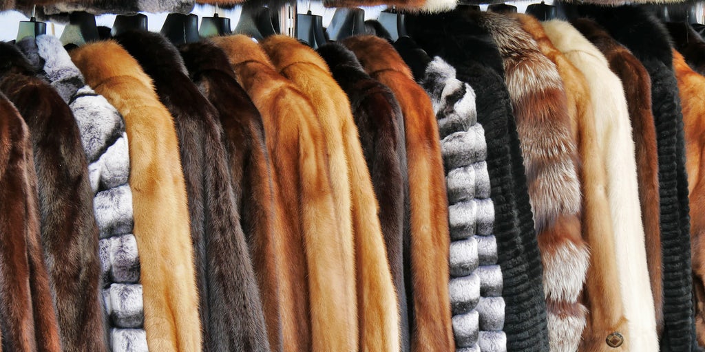 Social Goods | Is Faux Fur Better Than Real, Balenciaga Apologises Twice | Intelligence, Social Goods